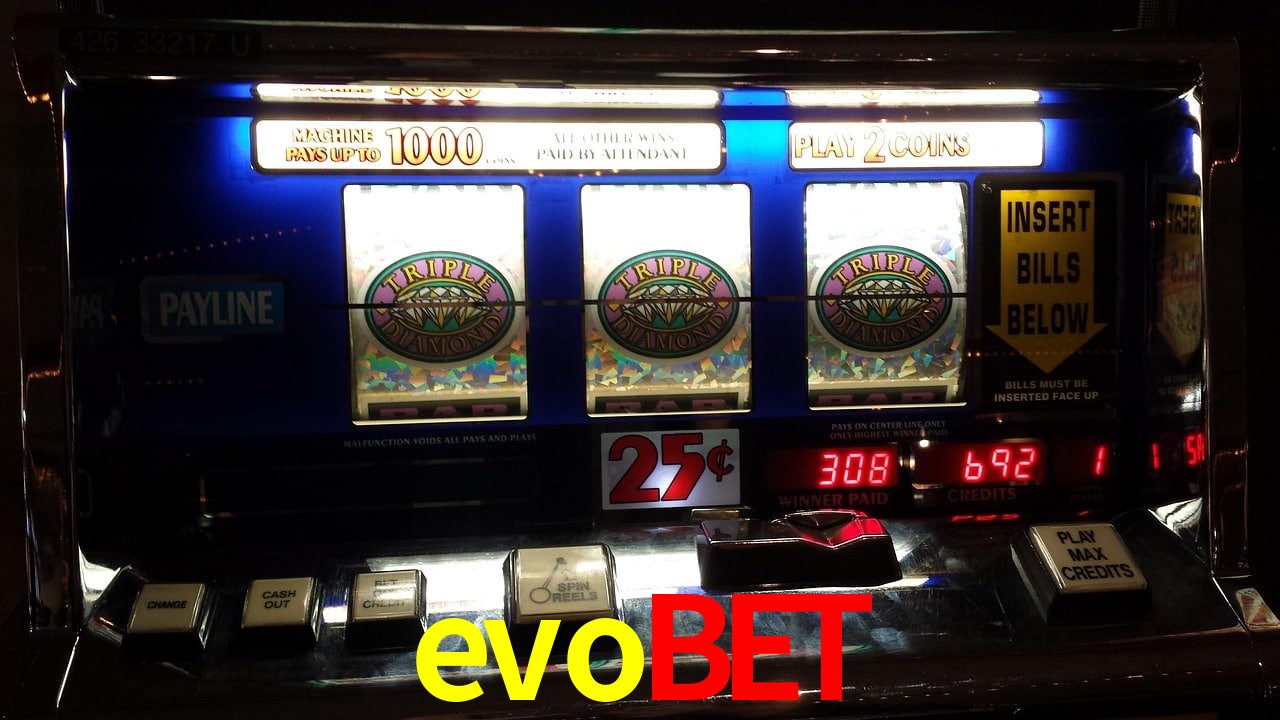 Sports Statistics evobet