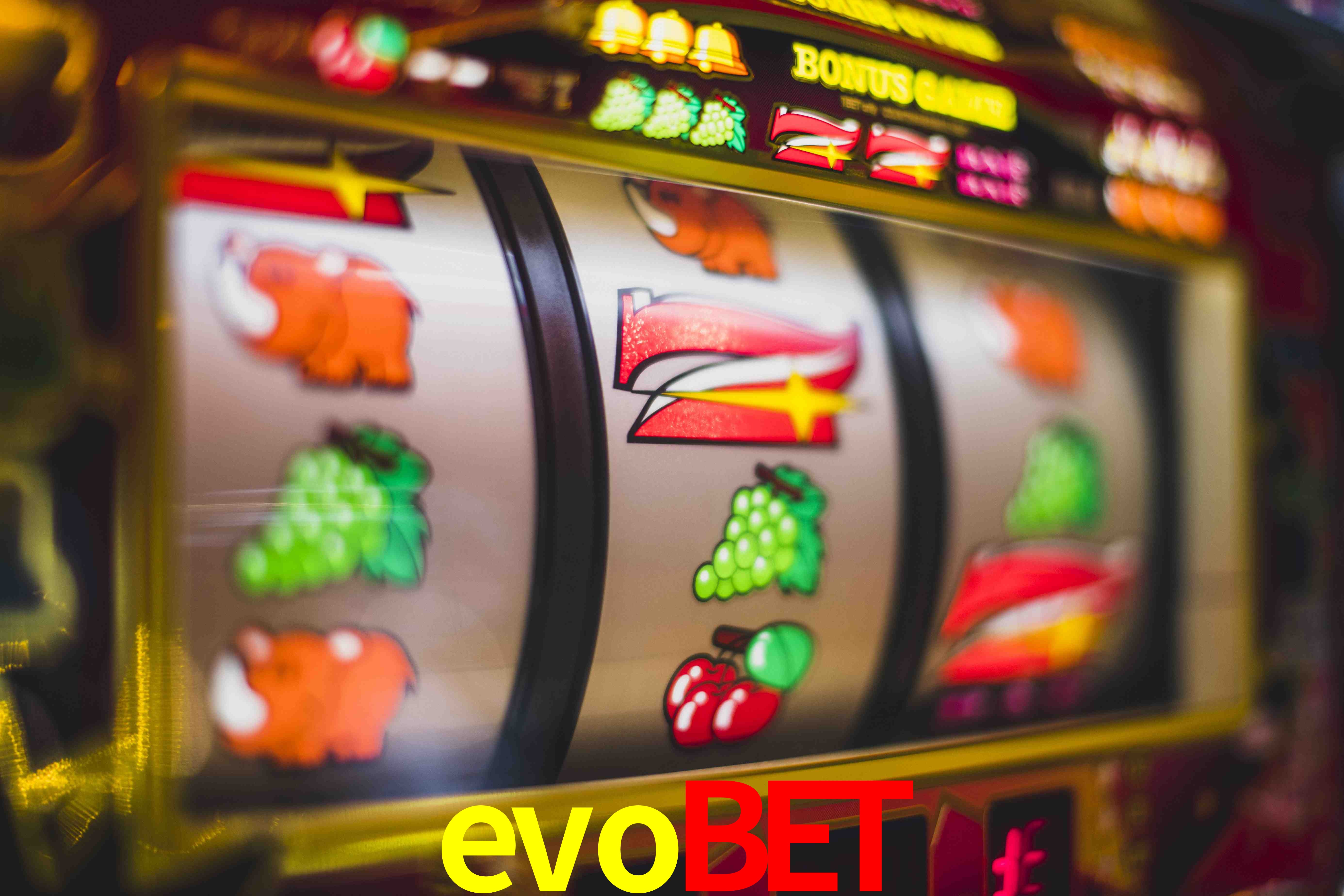 Football Betting evobet
